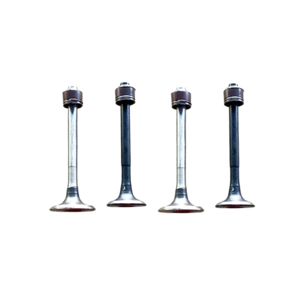 Engine Valve Set for Bajaj Discover 125 ST New Model | 4 Valves with Seal