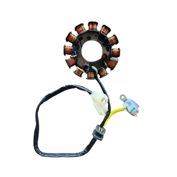 Stator Coil Plate Assembly for Bajaj Discover 100T | 100M