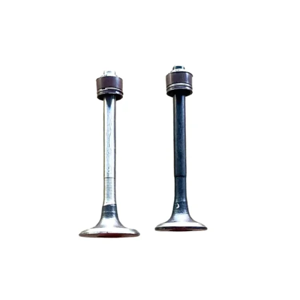 Engine Valve Set for Bajaj Caliber | CT 100 | Platina | Discover 112 | 2 Valves with seal